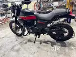 Mint Condition, barely ridden