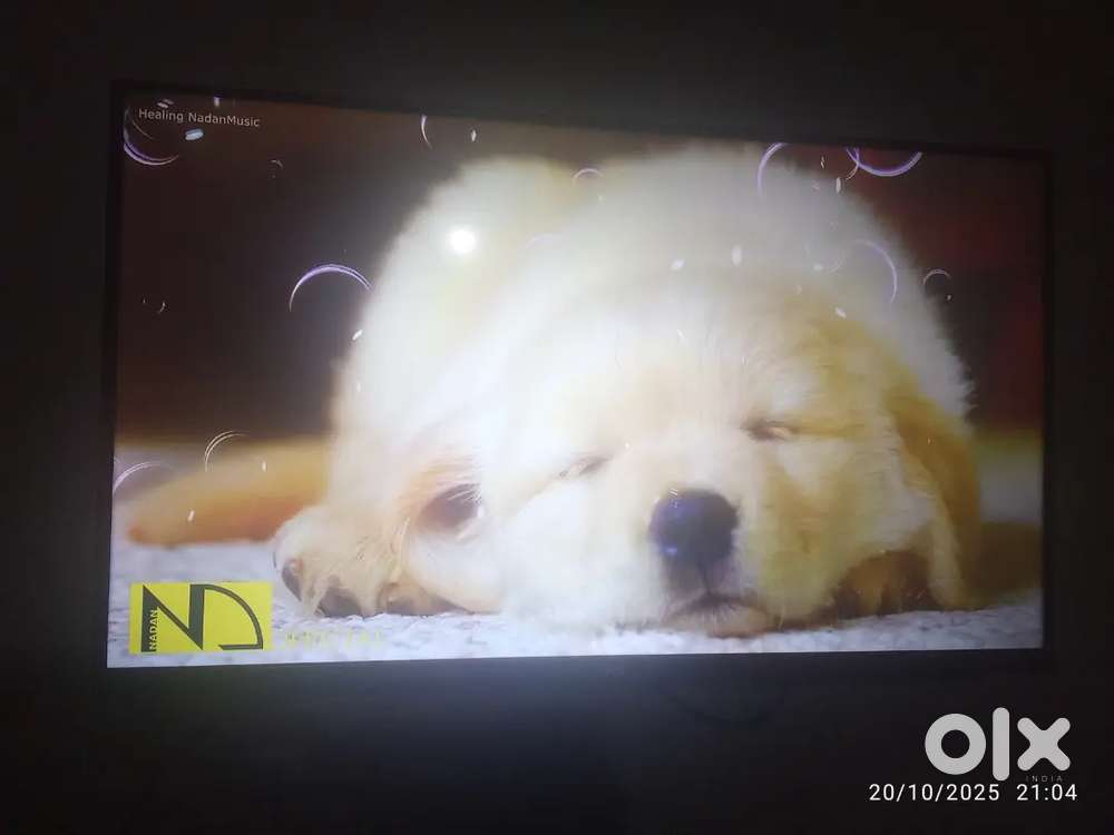 TCL TV 5 Month old only in very good condition