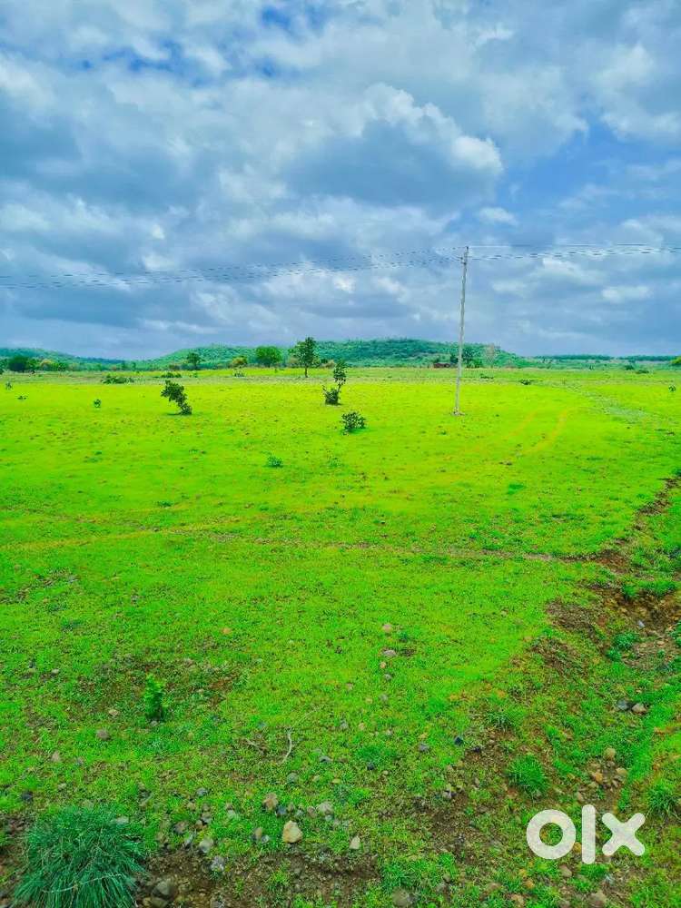 Famous agriculture land