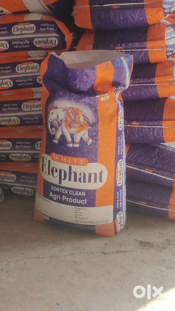 Dollar Chickpeas ( चणा)