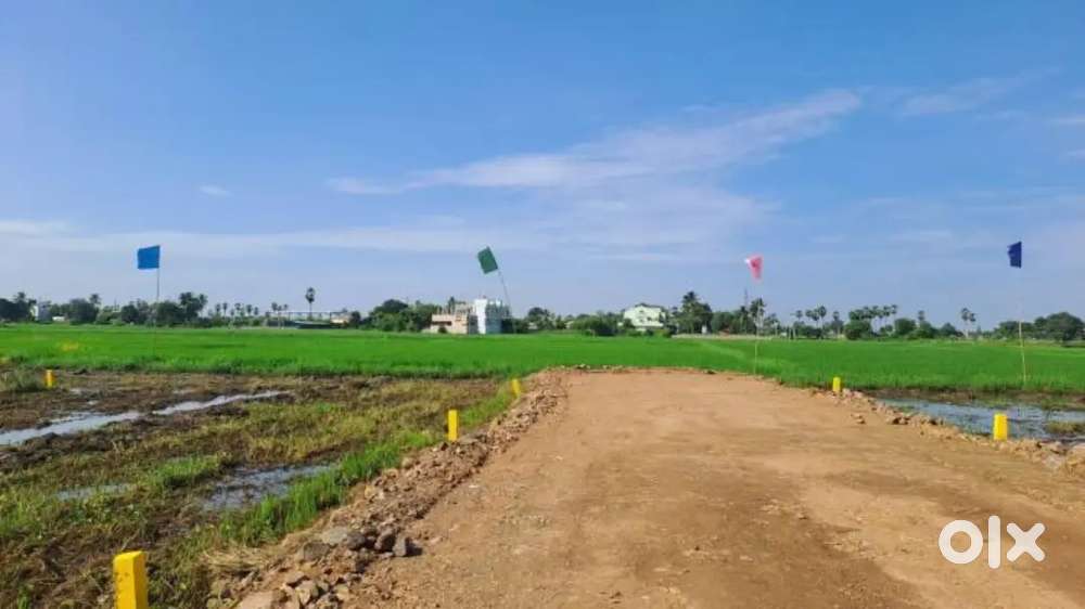 443SQ PLOT IN GANDIGUNTA ,VUYURU