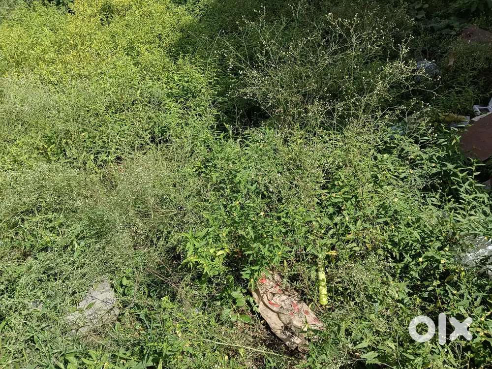 2500 sqft polot for sale Danish kunj Men road par Kolar road Bhopal