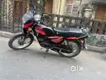 Suzuki shogun