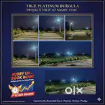 True Platinum burgula