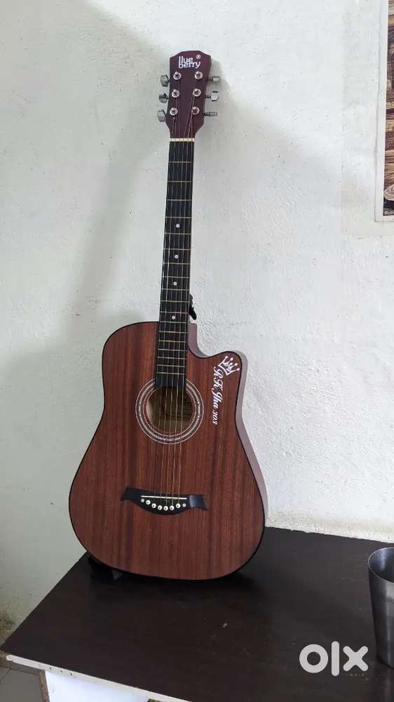 derry guitar