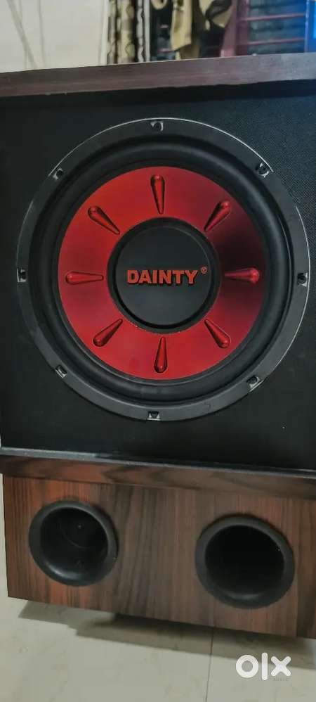 DIANTY SUBWOOFER12 INCH BRAND NEW CONDITION