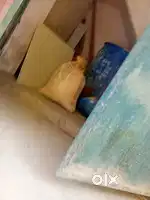 Shop mini rent