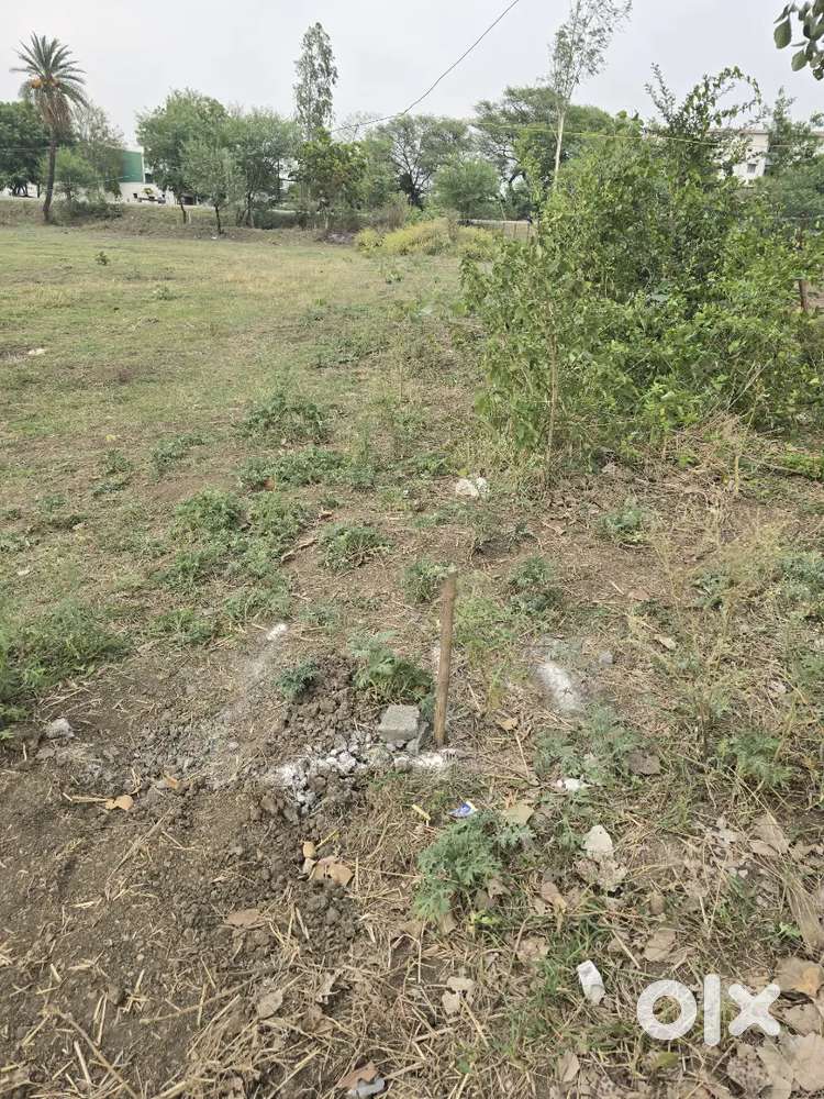 150*150 available main Ashta road shujalpur