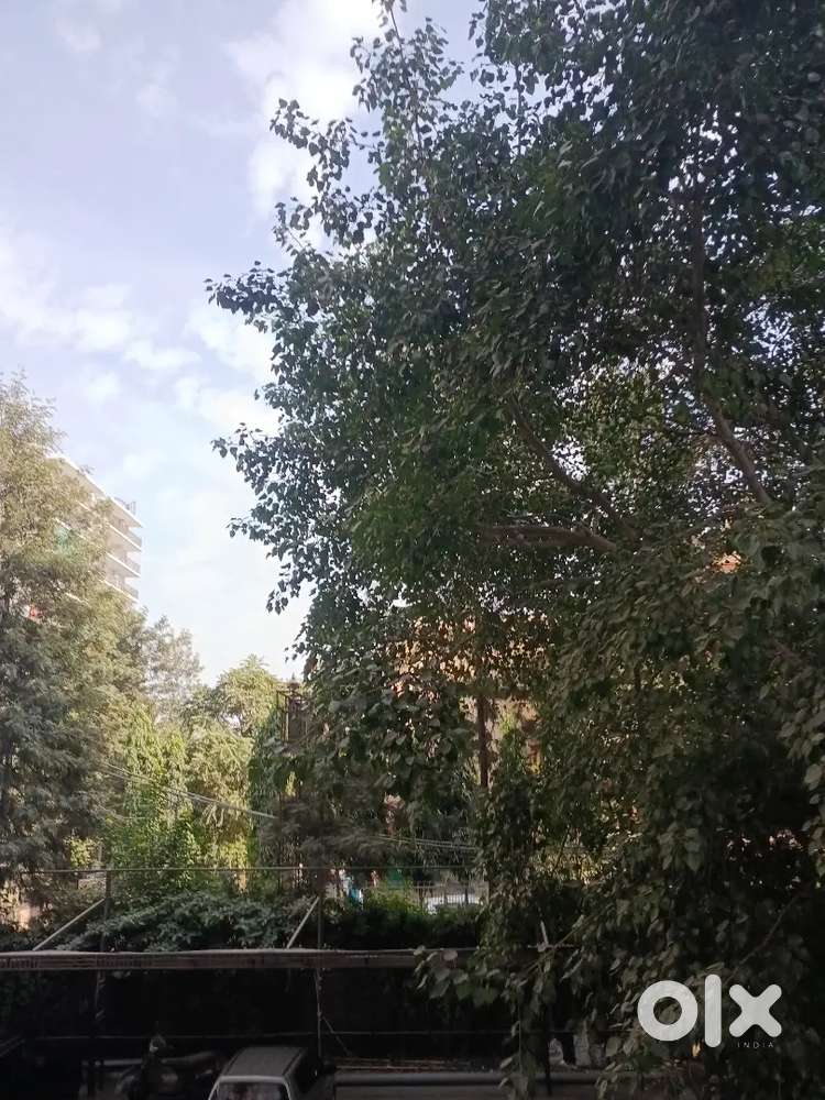 FRONT OFFICE INCHARGE