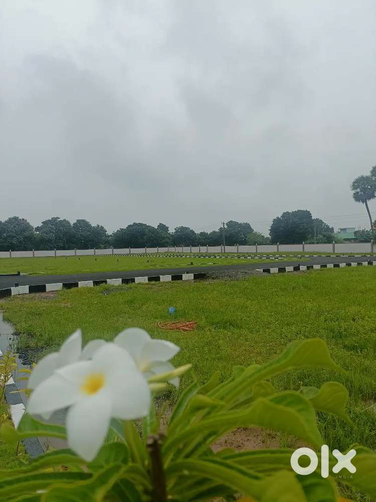 Spot Booking 1 Gram Gold Coin free thiruninravur kilakondaiyur