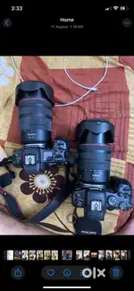 Canon R6+ 24-105 F4