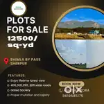 Plot for Sale at shimla baipass gate colony develop