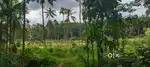 3.5 acres Near TKM Institute of technology