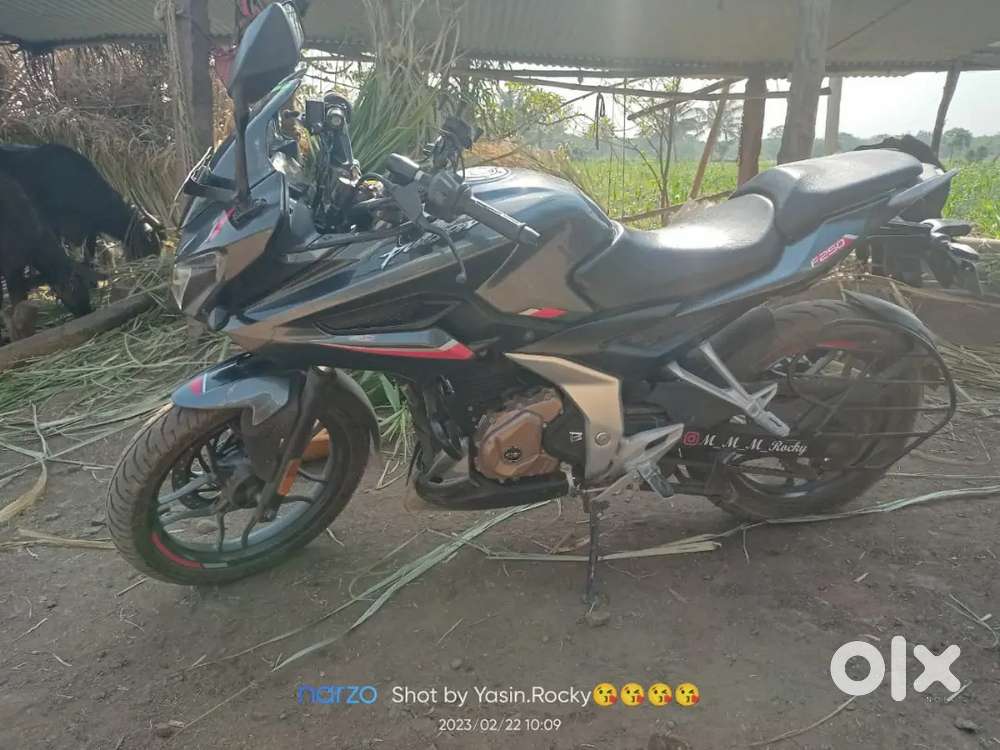 Very good mint condition bike selling because buying car