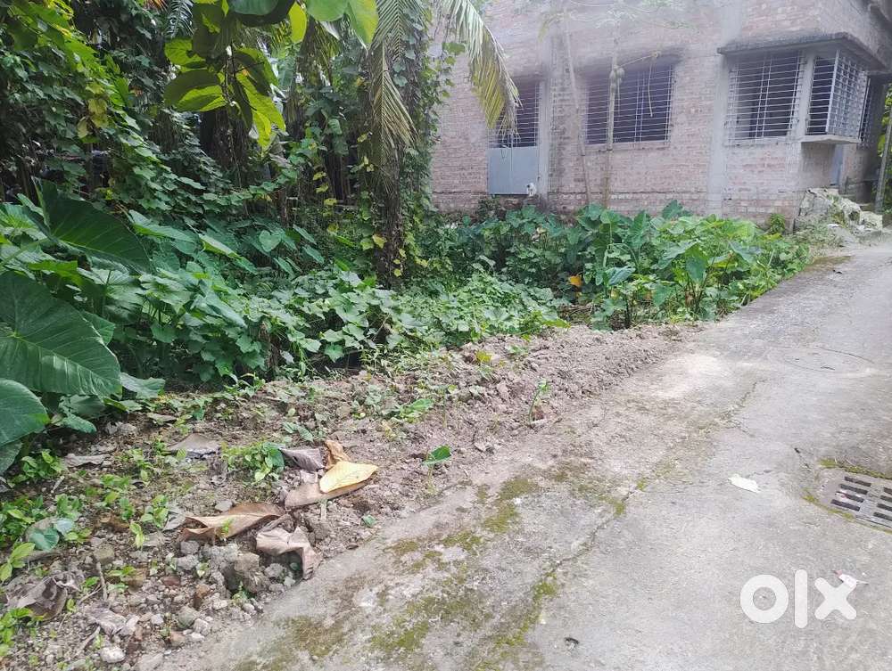 I want to sell my land