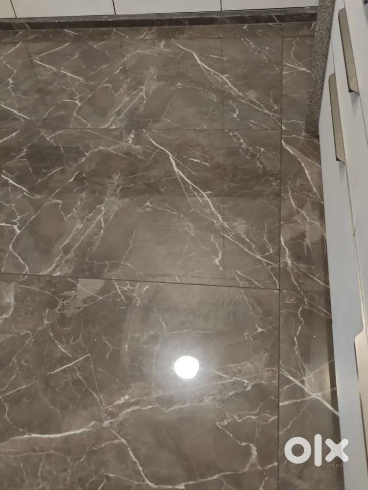 2 bhk beautiful fully furnished