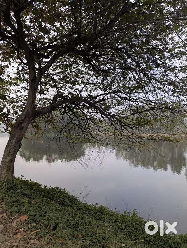 Rooms available for working staffs or students / 2bhk available