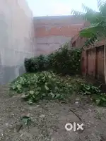 Rent plot in kesav nagar near anna market sitapur road Lucknow
