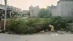 50 gaj plot