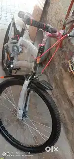 Brand new cycle
