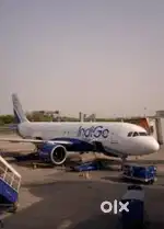 Direct Opening In indigo Airlines Job opportunities