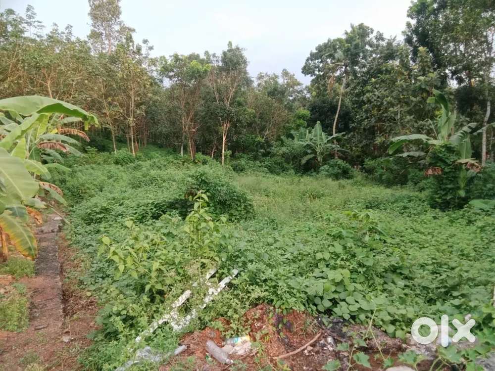 തെങ്ങണാ 19 cent plot.1.90 .lakh . cent.