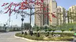 LUXURY 3 BHK ON CHANDIGARH - AMBALA HIGHWAY, LUXURIOUS TOWNSHIP.