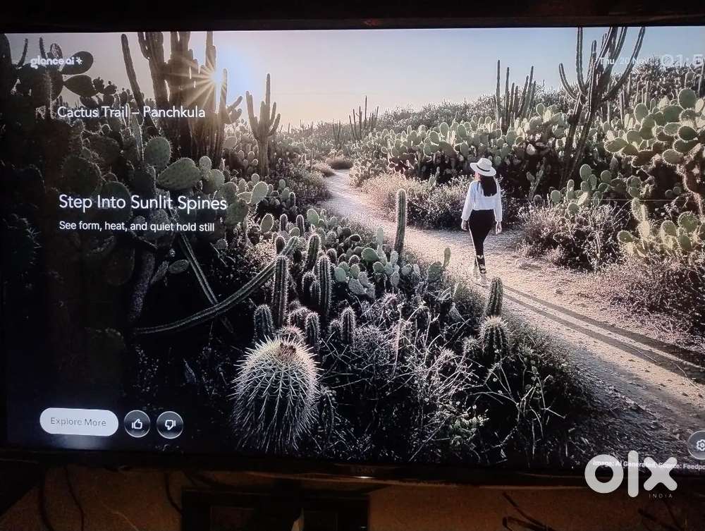 43 inch Sony Android TV