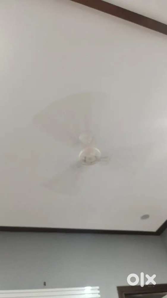 Crompton fan