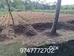 Land suitable for agriculture is for sale