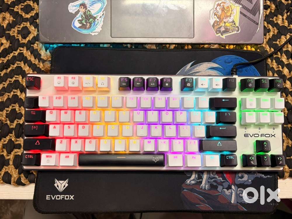 Evofox keyboard