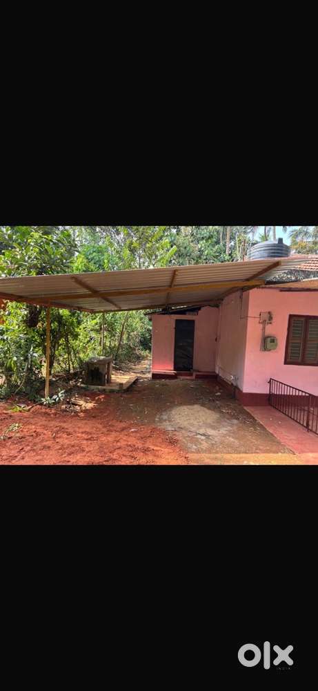 Its near bannur school puttur