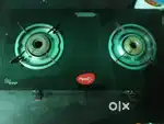 Pigeon glass stove