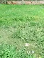 बेनीपुर पहाड़िया