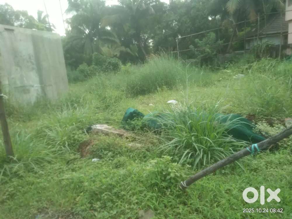 Yakkara main road 12cent commercial plot per cent 2000000lacks