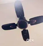 Ceiling Fans  Chairs  Mirror [Lightning]