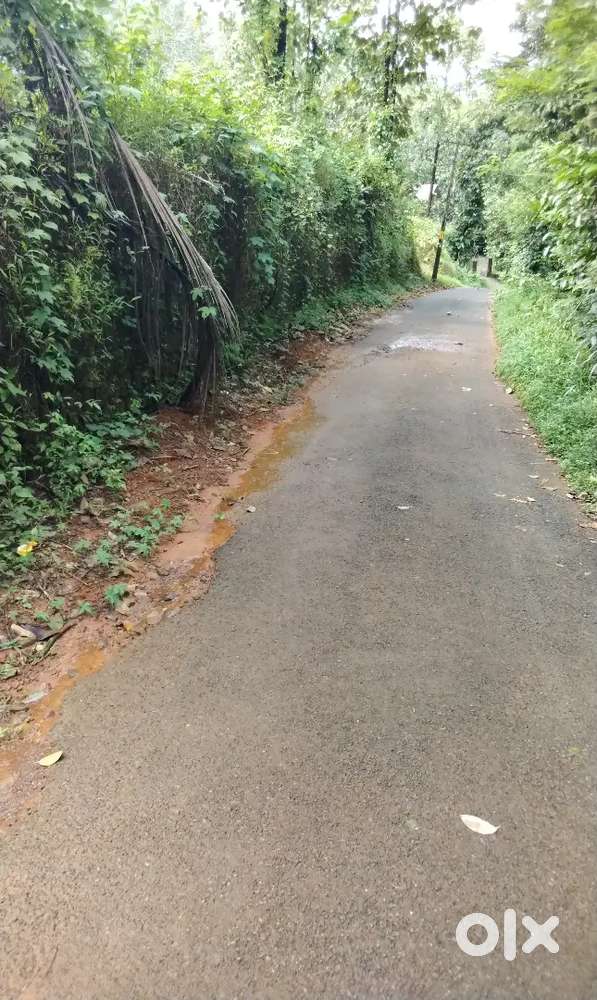Plot for sale near nellippara
