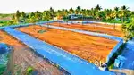 LUXUARY PLOTS FOR SALE NEAR STRR HIGHWAY