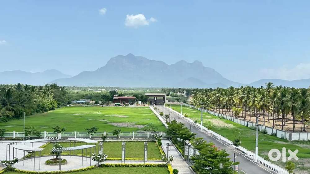 Prime Plots - North East Facing Available