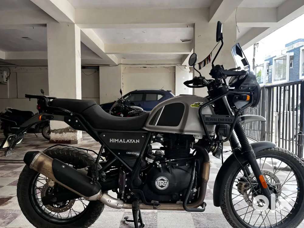 Mint Condition Himalayan 411