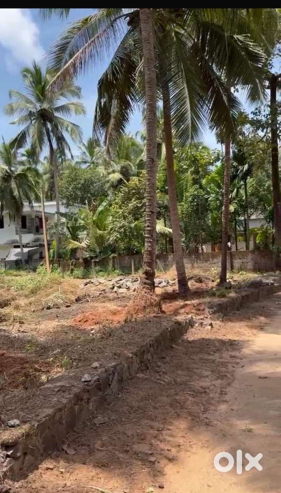 Residential plot for sale 12 cent