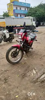 Max 100 sales