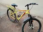 Only 5 month old cycle