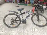 Avon cycle
