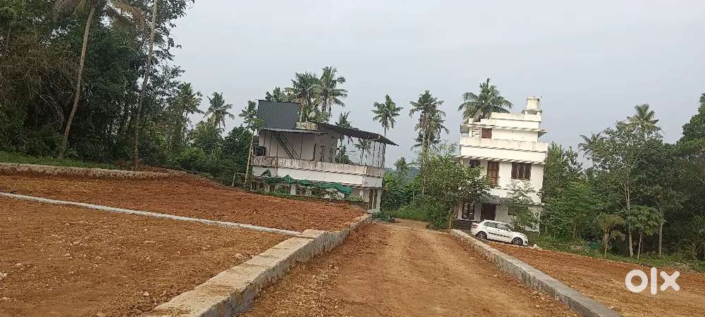 5,6,8, 10 CENT PLOTS ANGAMALY PULIYANAM NEAR 5 MEATER TAR ROAD