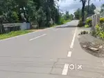 11 cent main road front land for sale in kanjoor parappuram,Airport