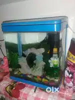 Fish aquarium tank good candidate 7 liter water
