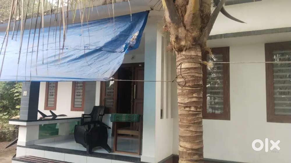 കടബാധ്യതയായതുകൊണ്ട്
