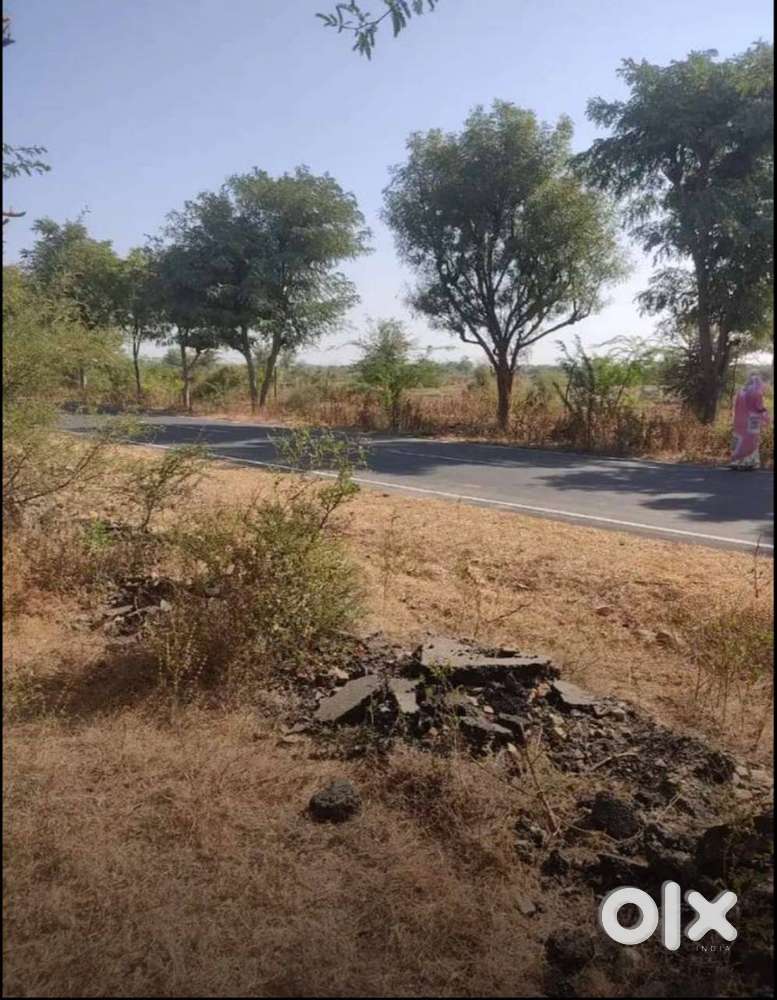 34 Bigha Indroka  Agriculture Land For Sale