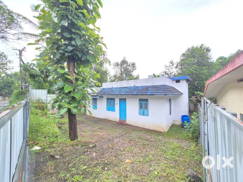 8 Cent Land with Old House – Near Ration Kada Bus Stop, Panayikulam